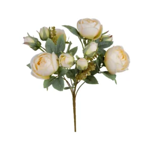 بوته پیونی غنچه دار