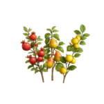 میوه‌های تزئینی