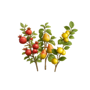 میوه‌های تزئینی