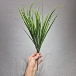 بوته برگ گیاه لیندا سوزنی‎