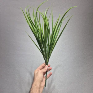 بوته برگ گیاه لیندا سوزنی‎