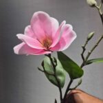 شاخه مقنولیا یه غنچه لمسی - تصویر 3