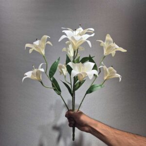 بوته لیلیوم ۹ گل لمسی