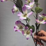 شاخه شقایق دو بازو - تصویر 6