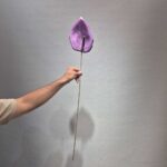 انتیریوم سایز بزرگ خارجی - تصویر 8