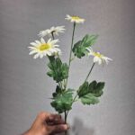 شاخه بابونه ۵ گل ارج - تصویر 3