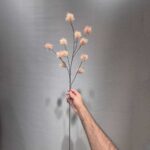 شاخه لی چی رنگی - تصویر 4