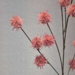 شاخه لی چی رنگی - تصویر 6