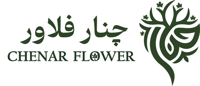 فروشگاه چنار فلاور